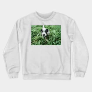 41617 couragous Crewneck Sweatshirt